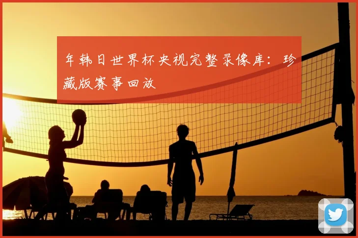 年韩日世界杯央视完整录像库：珍藏版赛事回放