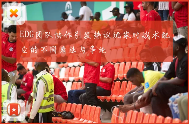 EDG团队协作引发热议玩家对战术配合的不同看法与争论