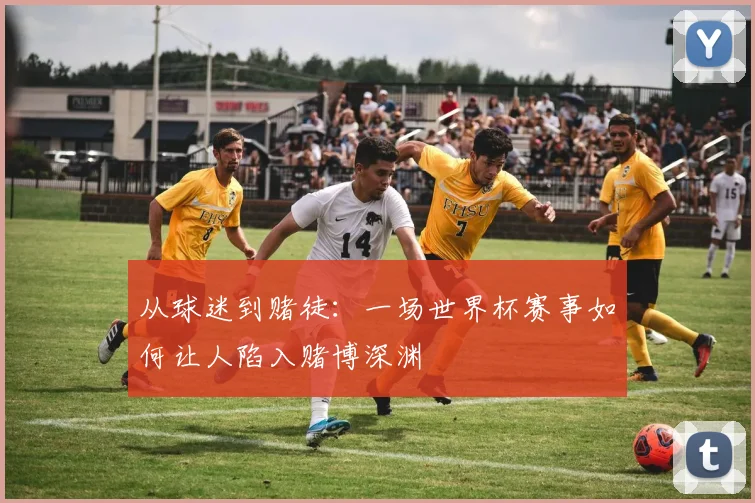 从球迷到赌徒：一场世界杯赛事如何让人陷入赌博深渊