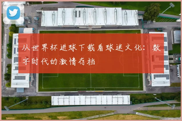 从世界杯进球下载看球迷文化：数字时代的激情存档