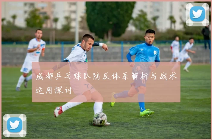 成都乒乓球队防反体系解析与战术运用探讨