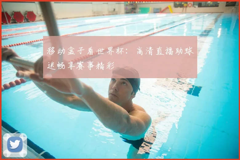 移动盒子看世界杯：高清直播助球迷畅享赛事精彩