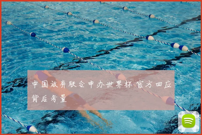 中国放弃联合申办世界杯 官方回应背后考量