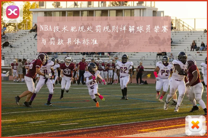 NBA技术犯规处罚规则详解球员禁赛与罚款具体标准