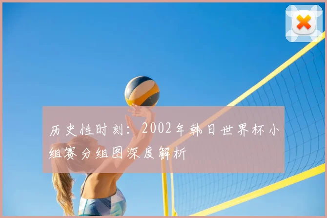 历史性时刻：2002年韩日世界杯小组赛分组图深度解析