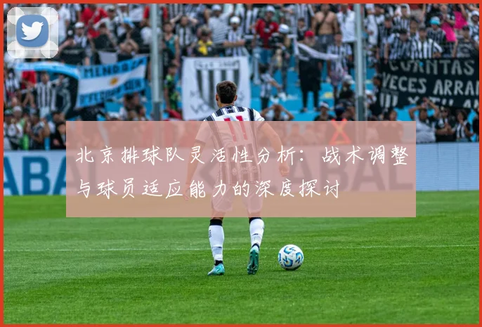 北京排球队灵活性分析：战术调整与球员适应能力的深度探讨