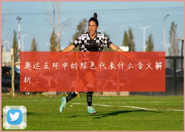 奥运五环中的绿色代表什么含义解析