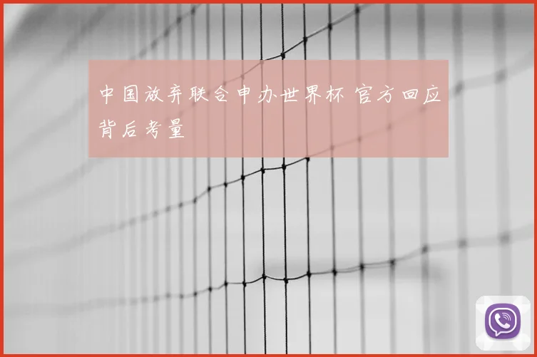 中国放弃联合申办世界杯 官方回应背后考量