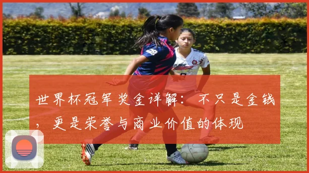 世界杯冠军奖金详解：不只是金钱，更是荣誉与商业价值的体现