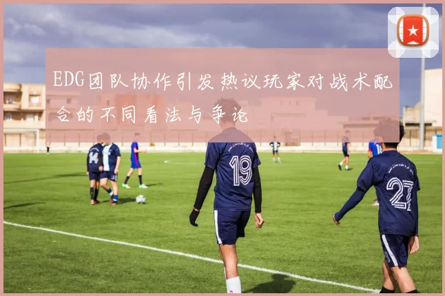 EDG团队协作引发热议玩家对战术配合的不同看法与争论