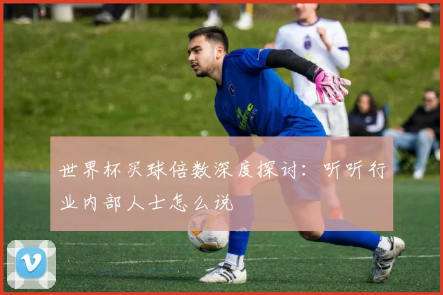 世界杯买球倍数深度探讨：听听行业内部人士怎么说