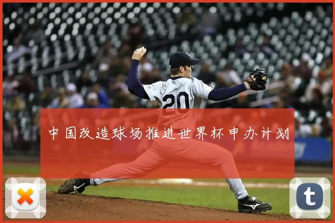 中国改造球场推进世界杯申办计划