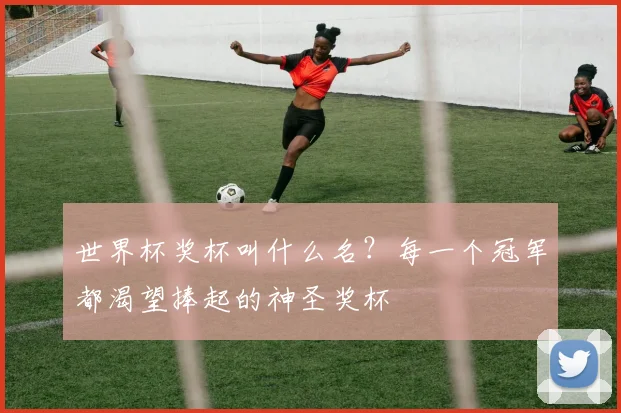 世界杯奖杯叫什么名？每一个冠军都渴望捧起的神圣奖杯