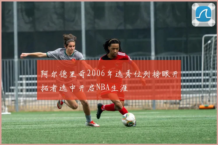 阿尔德里奇2006年选秀位列榜眼开拓者选中开启NBA生涯