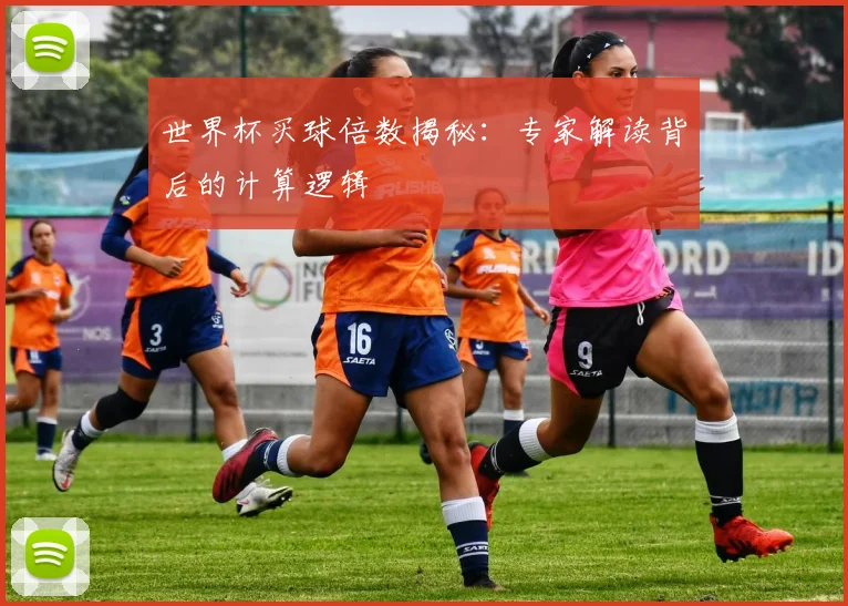 世界杯买球倍数揭秘：专家解读背后的计算逻辑