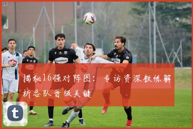 揭秘16强对阵图：专访资深教练解析各队晋级关键